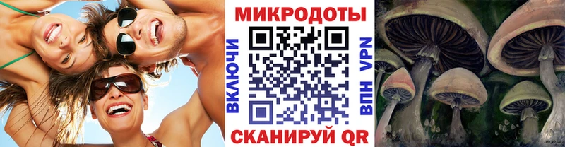 магазин  наркотиков  Котельнич  Псилоцибиновые грибы GOLDEN TEACHER 